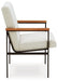 Dressonni Dining Arm Chair - MR ZEE FURNITURE