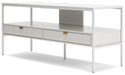 Deznee 60" TV Stand - MR ZEE FURNITURE