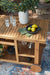 Kailani Serving Cart - MR ZEE FURNITURE