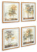 Bryneford Wall Art (Set of 4) - MR ZEE FURNITURE