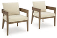 Serene Bay Outdoor Dining Arm Chair with Cushion (Set of 2) - MR ZEE FURNITURE